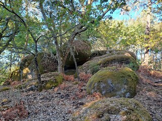 Mámoa en un bosque de Galicia