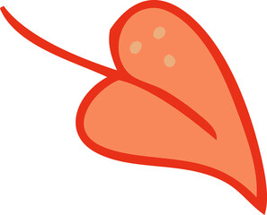 Doodle drawing autumn leaf illustration for decor and design.