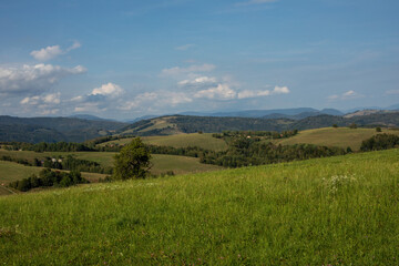 Obraz premium Rural landscape with green fields and forests.Summer season.