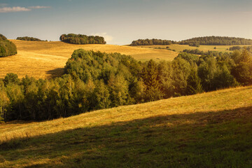 Obraz premium Rural landscape with green fields and forests.Summer season.