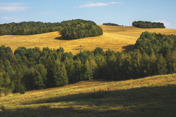 Fototapeta premium Rural landscape with green fields and forests.Summer season.
