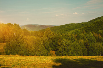 Obraz premium Rural landscape with green fields and forests.Summer season.