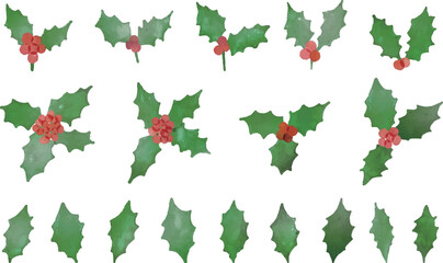 水彩画。水彩タッチの柊のセットイラスト。ひいらぎのイラスト。ベクターイラスト。