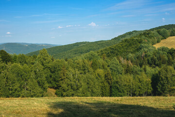 Fototapeta premium Rural landscape with green fields and forests.Summer season.