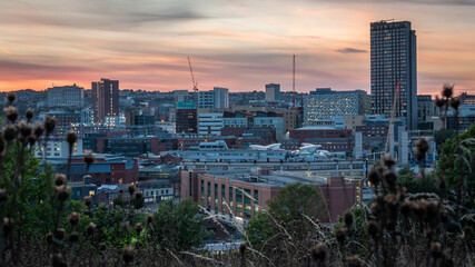 Sheffield cityscape from the Cholera monument grounds