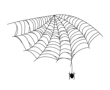 Black spider and web. Scary spiderweb of halloween . Vector illustration