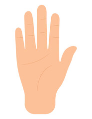 hand palm illustration