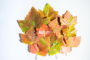 Painted fall colorful leaves on a white background. 