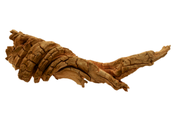 Curved dry wood from the desert  isolated on transparency photo png file 