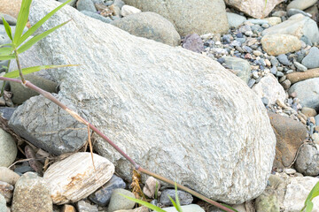 様々な形や模様の川の石