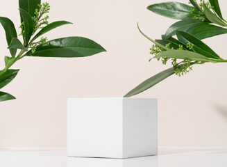 White porous gypsum cube for podium cosmetic products on a beige background with green eco leaves. Mockup empty template horizontal