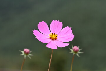 Obraz premium fall is around the corner