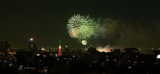 fireworks celebrating mexico's independence day, panoramic view of mexico city at night