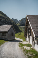 Fototapeta na wymiar swiss alpine farm with mountains in the background