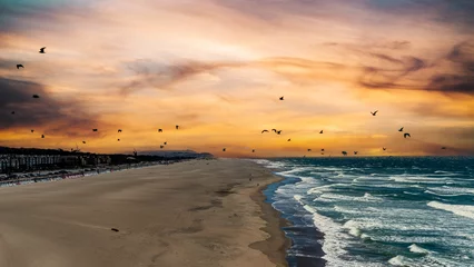 Gardinen Ocean Beach San Francisco sunset with seagulls © Richard