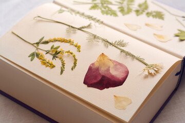 Book with dried flowers and leaves on white fabric, closeup