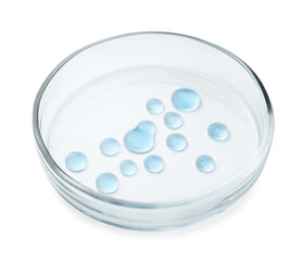 Petri dish with light blue liquid isolated on white
