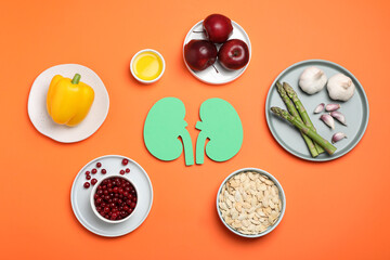Paper cutout of kidneys and different healthy products on orange background, flat lay