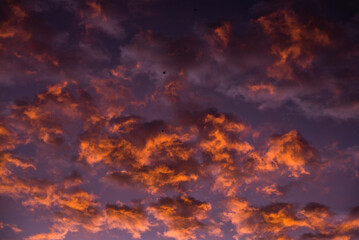 cielo rosado naranja de nubes al atardecer © MariaLaura