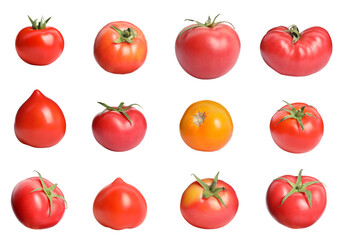 Set with different whole ripe tomatoes on white background