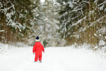 Fototapeta na wymiar Cute toddler boy having fun on a walk in snow covered pine forest on chilly winter day. Child exploring nature. Winter activities for kids.