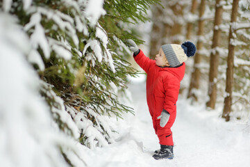 Cute toddler boy having fun on a walk in snow covered pine forest on chilly winter day. Child...