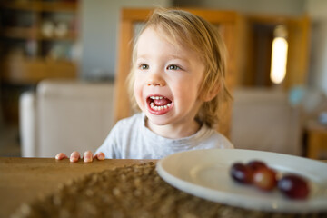 Cute little toddler boy eating grapes at home. Fresh organic frutis for infants.