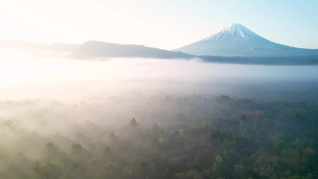 早朝の青木ヶ原樹海と富士山を空撮