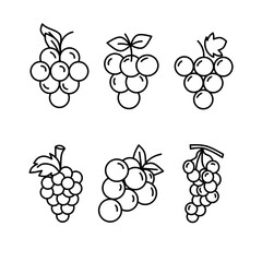 grape fruit icon set illustration