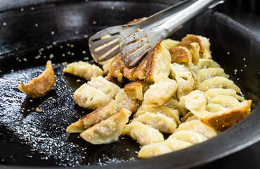 chinese jiaozi food