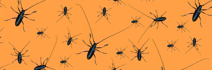 Halloween banner made with creepy black beetles with long whiskers on orange background, as a backdrop or texture. Creative halloween layout for your design