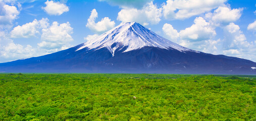 マヤ遺跡周辺の熱帯雨林の森と富士山合成