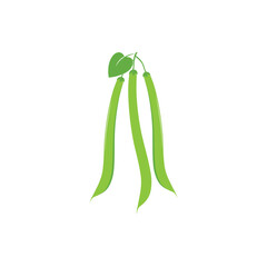 Green beans illustration template