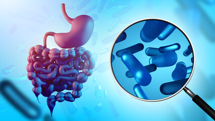 Beneficial microorganisms for stomach. Microbiome under magnifying glass. Microbiome for gut. Blue...