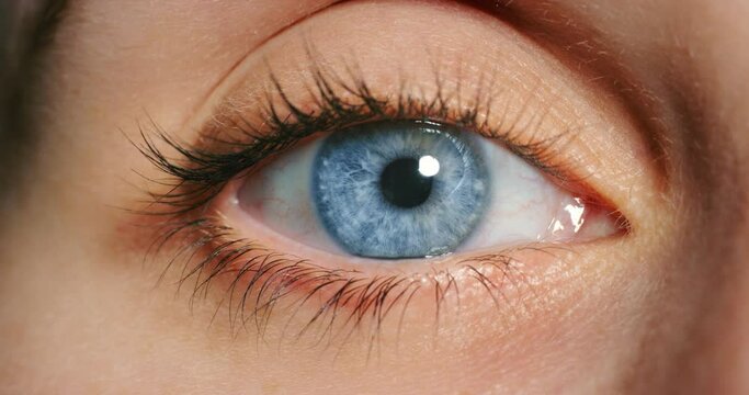 Woman open blue eye, in close up showing veins and iris movement at optical test or exam. Lady in medical examination with eyeball in macro view, after opening eyelid for health inspection of eyes.