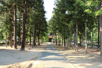 Fototapeta premium 向嶽寺の参道