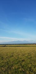 Fototapeta na wymiar field and blue sky view in lombok 