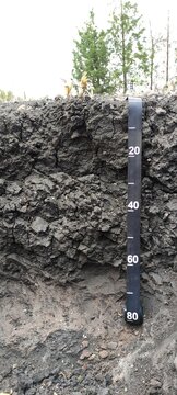 The way of the soils 