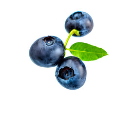 blueberries isolated on white background