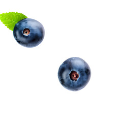Drops of water on blueberries with green leaves in close-up on a white background