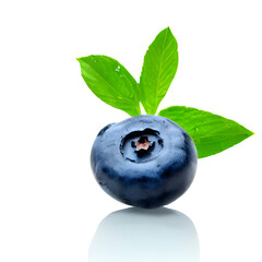 Single Blueberry isolated on white
