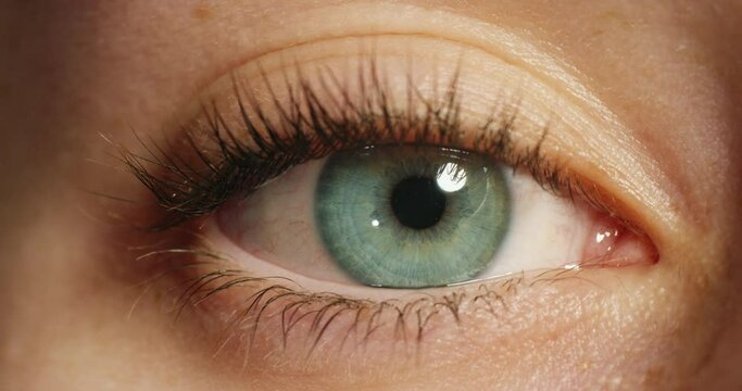 Closeup of a human light green eye with a beautiful and natural iris color with long eyelashes. Macro zoom of an awake woman with optical vision and a moving or dilating pupil for eyecare awareness.