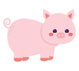 cute colorful pig