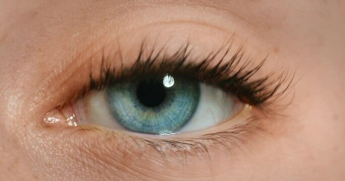 Woman, blue eye and blink motion with vision, makeup cosmetics and mascara on beauty model. Zoom, portrait and face skin with human eyes, eyelashes or inspiration for humanity through iris and retina