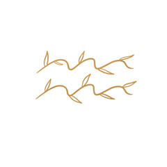 Aquarius Zodiac Sign 