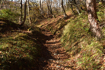 Climbing mountain in autumn, Nasu, Tochigi, Japan