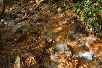 Climbing mountain in autumn, Nasu, Tochigi, Japan