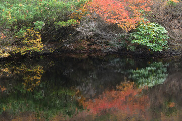 Climbing mountain in autumn, Nasu, Tochigi, Japan