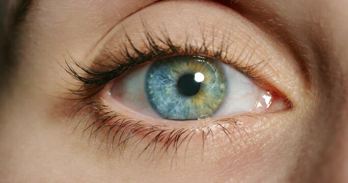 Closeup of woman with green and blue eyes or contact lens for vision, eyecare or eyesight awareness. Macro of medical optic exam for optical wellness and health. Beautiful, natural and human iris.