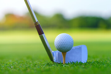 Golfer putt golf ball into hole on the green at golf course
